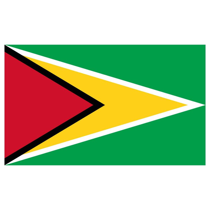 Guyana Flag