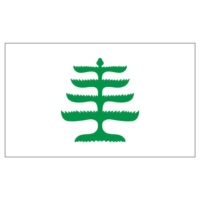 Pine-Tree-Historical-US-Flag